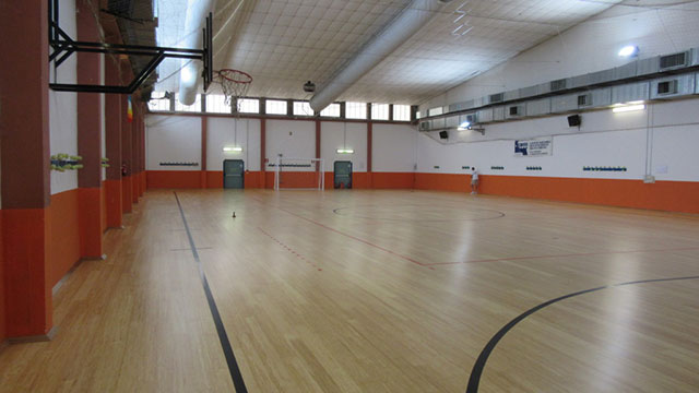 體育運(yùn)動(dòng)木地板,籃球場(chǎng)地板,籃球館專(zhuān)用木地板,運(yùn)動(dòng)木地板廠(chǎng)家